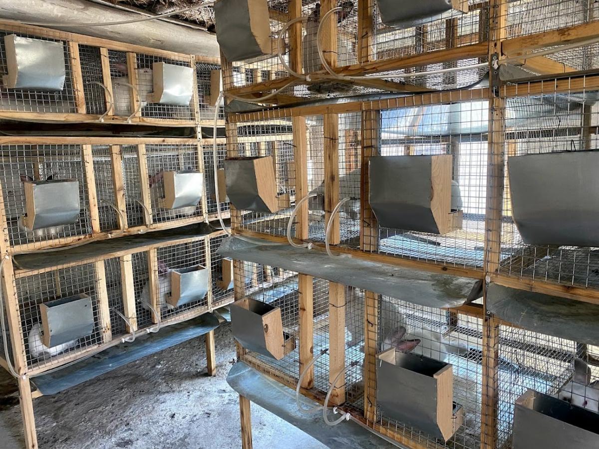 Հաջողության պատմություն․ Բազմաղբյուր և Բյուրական գյուղեր