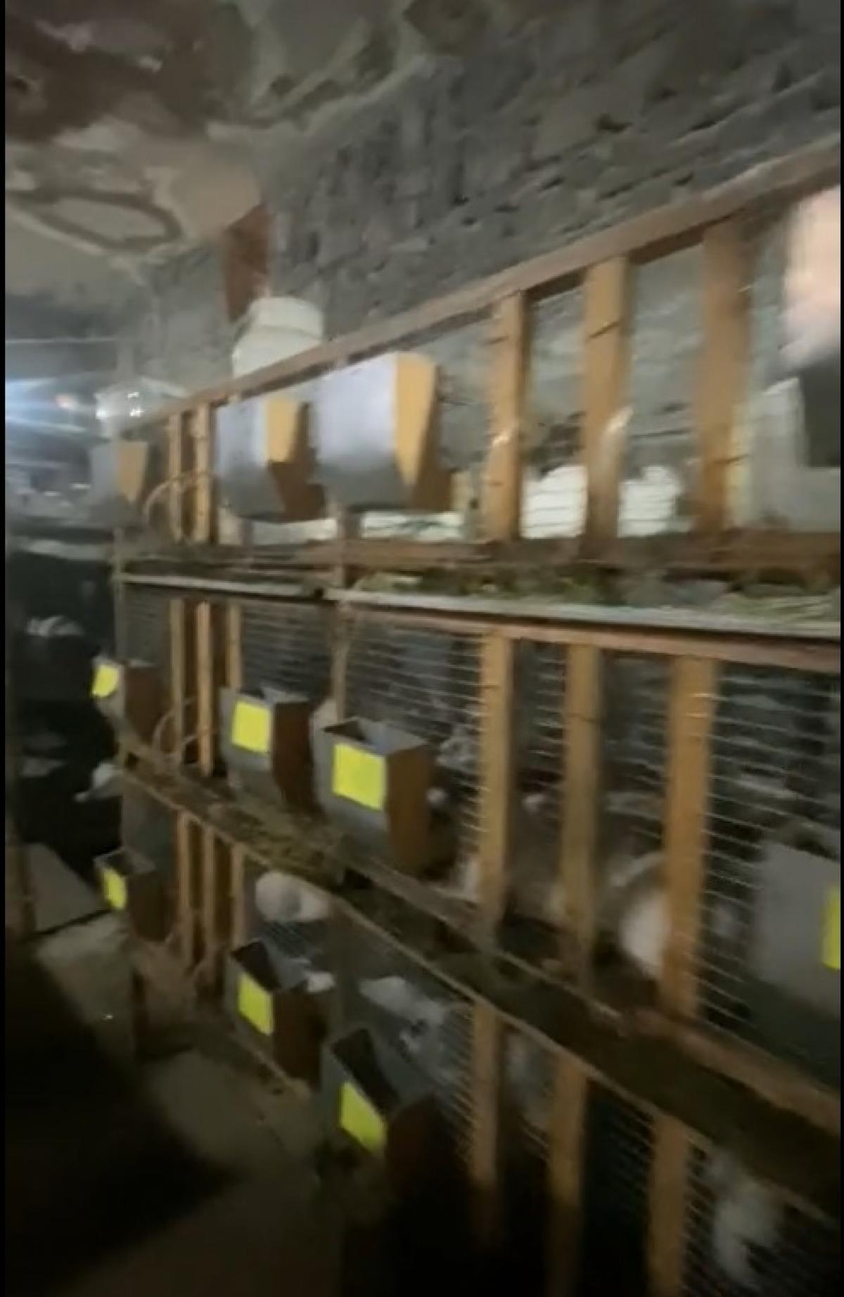 Հաջողության պատմություն․ Աբովյանի ու Մրգաշենի շահառուներ