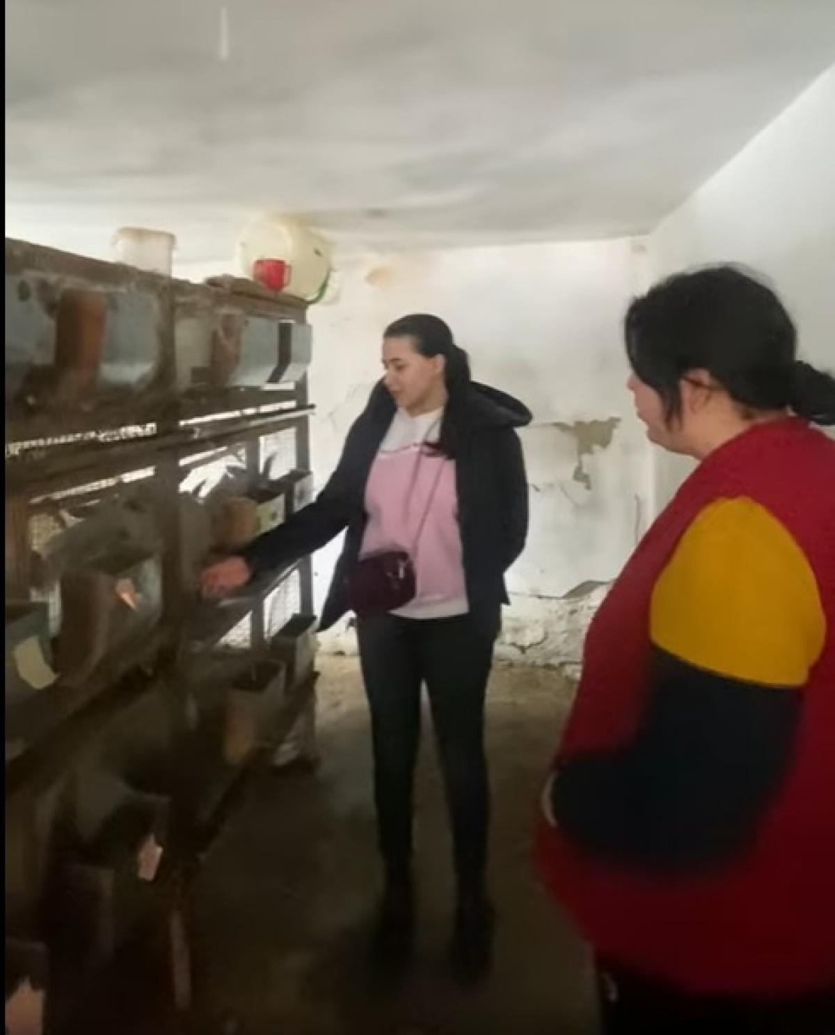 Հաջողության պատմություն․ Արուճ և Կոշ գյուղեր