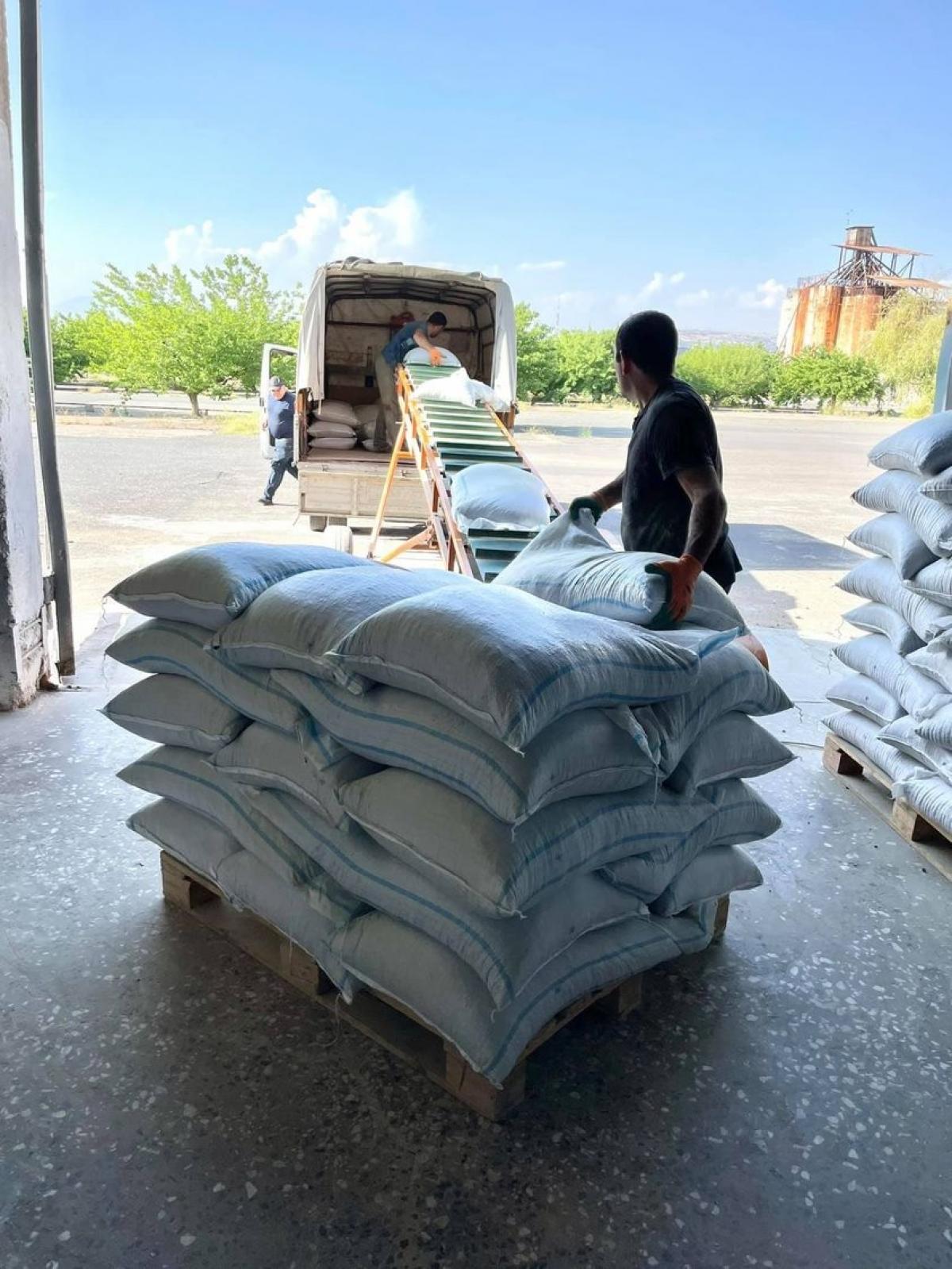 2500 կգ կերի տրամադրում Կոտայքի և Արագածոտնի մարզերի 22 ընտանիքների